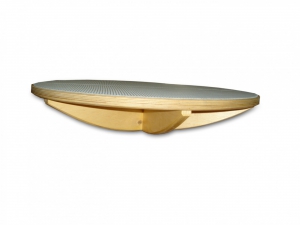 Балансир детский (круг) - fgospostavki.ru - Киров