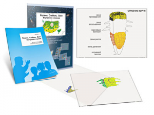 Комплект кодотранспарантов "Корень. Стебель. Лист (Внутреннее строение)" - fgospostavki.ru - Киров