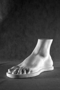 Стопа Геракла (гипс) - fgospostavki.ru - Киров