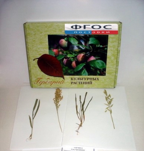Гербарий "Культурные растения" (28 видов) - fgospostavki.ru - Киров