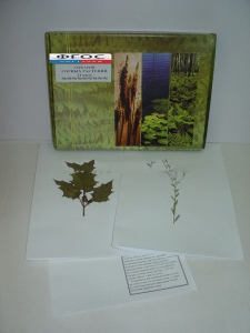 Гербарий "Сорные растения" (24 вида) - fgospostavki.ru - Киров