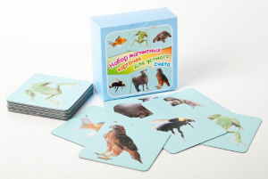 Набор магнитных карточек "Устный счет" (фон голубой) - fgospostavki.ru - Киров