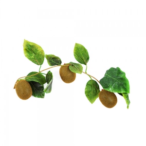 Ветка муляжей "Киви" - fgospostavki.ru - Киров