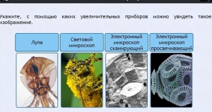 Интерактивные курсы. Биология 5 класс. Расширенный - fgospostavki.ru - Киров