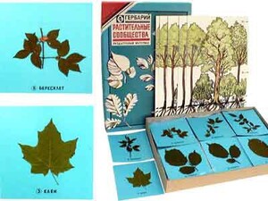 Гербарий "Растительные сообщества" - fgospostavki.ru - Киров