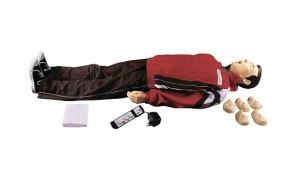 "Максим II-01" тренажер сердечно-легочной и мозговой реанимации - fgospostavki.ru - Киров