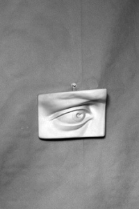 Гипсовая модель "Глаз" - fgospostavki.ru - Киров