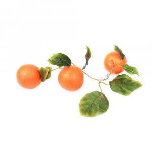 Ветка муляжей "Апельсины" - fgospostavki.ru - Киров
