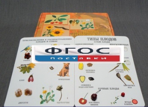 Коллекция "Семена и плоды" - fgospostavki.ru - Киров