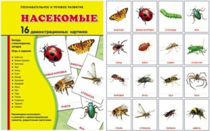 Демонстрационные карточки "Насекомые" - fgospostavki.ru - Киров