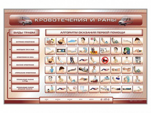 Трехсекционный базовый комплект "Травмы. Кровотечения. Ожоги" для учащихся общеобразовательных учреждений - fgospostavki.ru - Киров