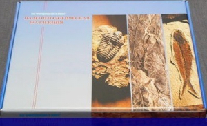 Коллекция "Палеонтологическая" (16 образцов) - fgospostavki.ru - Киров