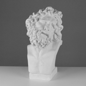 Бюст Лаокоона (гипс) - fgospostavki.ru - Киров