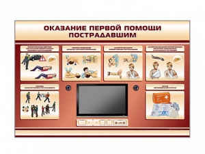 Многофункциональный интерактивный стенд-тренажер "Оказание первой помощи пострадавшим" для учащихся общеобразовательных учреждений - fgospostavki.ru - Киров