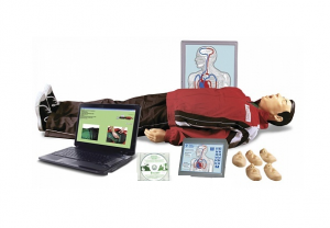 "Максим III-01" тренажер сердечно-легочной и мозговой реанимации - fgospostavki.ru - Киров