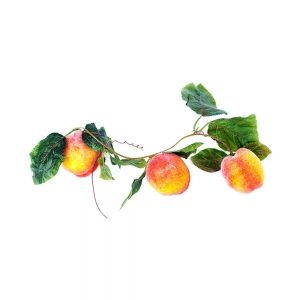 Ветка муляжей "Персики" - fgospostavki.ru - Киров