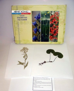 Гербарий "Ядовитые растения" (20 видов) - fgospostavki.ru - Киров