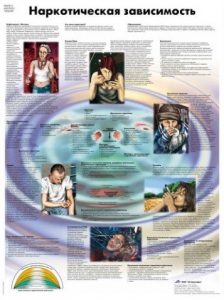 Плакат "Наркотическая зависимость" ламинированный - fgospostavki.ru - Киров
