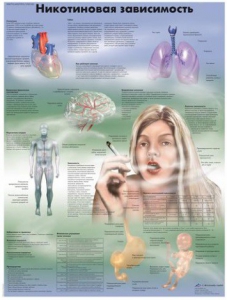 Плакат "Никотиновая зависимость" ламинированный - fgospostavki.ru - Киров