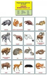 Раздаточные карточки "Дикие животные (1)" - fgospostavki.ru - Киров