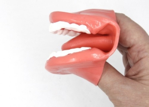 Муляж рта (мини) - fgospostavki.ru - Киров