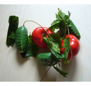 Ветка муляжей "Ассорти" (овощи) - fgospostavki.ru - Киров