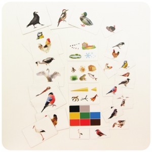 Набор магнитных карточек "Загадки-отрицания". Птицы - fgospostavki.ru - Киров