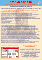 Таблица "Первичный осмотр пострадавшего, оценка его состояния и оказание первой помощи на месте ДТП" (100х140 сантиметров, винил) - fgospostavki.ru - Киров