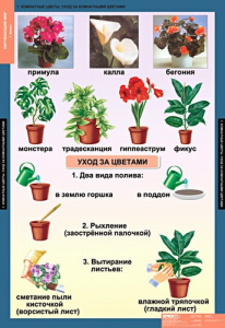 Комплект таблиц. Окружающий мир 1 класс. - fgospostavki.ru - Киров