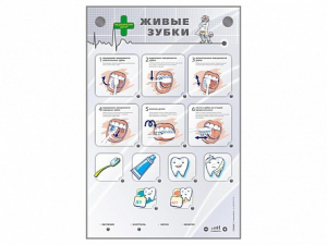 Интерактивный стенд "Живые зубки" - fgospostavki.ru - Киров