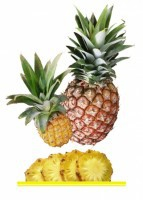 Комплект карточек "Запоминай, играй, считай" - Фрукты - fgospostavki.ru - Киров