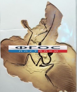 Модель барельефная "Археоптерикс" - fgospostavki.ru - Киров