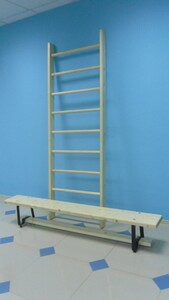 Стенка гимнастическая шведская премиум (1000х3200 мм) - fgospostavki.ru - Киров