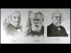 Портреты биологов (26 штук, формат А3) - fgospostavki.ru - Киров