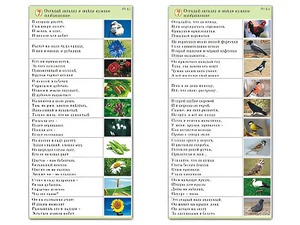 Комплект карточек (10) "Обучающий калейдоскоп. Природа" - fgospostavki.ru - Киров