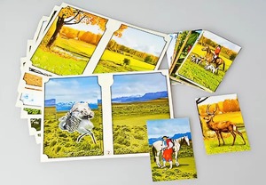 Настольно-печатная игра "Вокруг света" - fgospostavki.ru - Киров