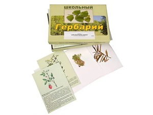Гербарий "Для начальной школы" (30 видов, с иллюстрациями) - fgospostavki.ru - Киров