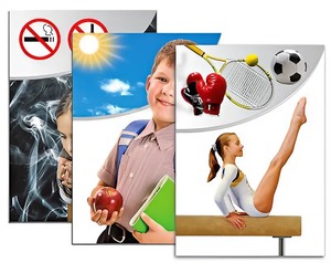 Модель-аппликация "Здоровье человека" - fgospostavki.ru - Киров