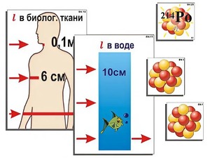 Модель-аппликация "Явление радиоактивности" (ламинированная) - fgospostavki.ru - Киров