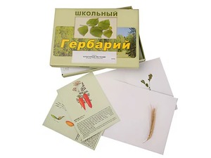 Гербарий "Культурные растения" (30 видов, с иллюстрациями) - fgospostavki.ru - Киров