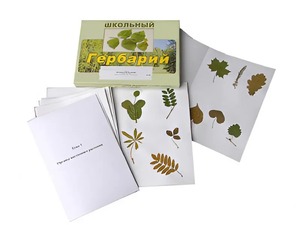 Гербарий "Морфология растений" (6 тем, 30 видов) - fgospostavki.ru - Киров