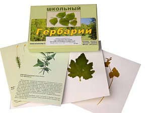 Гербарий "Систематика растений. Высшие споровые и семенные" (раздаточный) - fgospostavki.ru - Киров