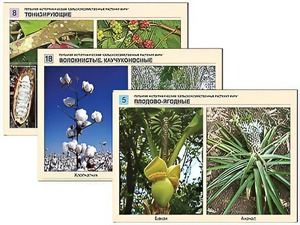 Гербарий фотографический "Сельскохозяйственные растения мира" - fgospostavki.ru - Киров