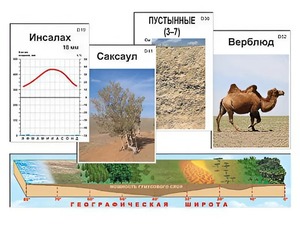 Модель-аппликация "Природные зоны" - fgospostavki.ru - Киров