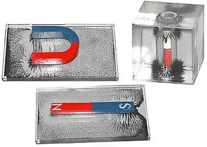 Набор для демонстрации объемных спектров постоянных магнитов - fgospostavki.ru - Киров