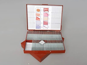 Комплект микропрепаратов "Анатомия" - fgospostavki.ru - Киров