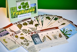 Гербарий к курсу основ общей биологии - fgospostavki.ru - Киров