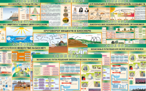 Комплект таблиц "Экология (9 листов)" (100х140 сантиметров, винил) - fgospostavki.ru - Киров