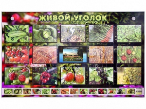 Комплект оборудования "Живой уголок" (растения) с тифлопереводом и сурдокомментариями - fgospostavki.ru - Киров