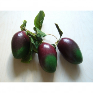 Ветка муляжей "Манго" - fgospostavki.ru - Киров